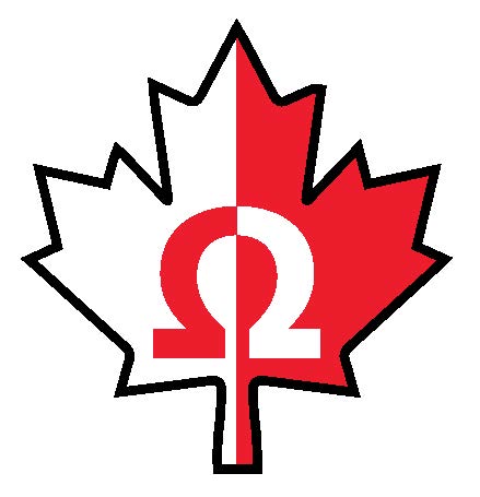 Veteran Electric banner logo