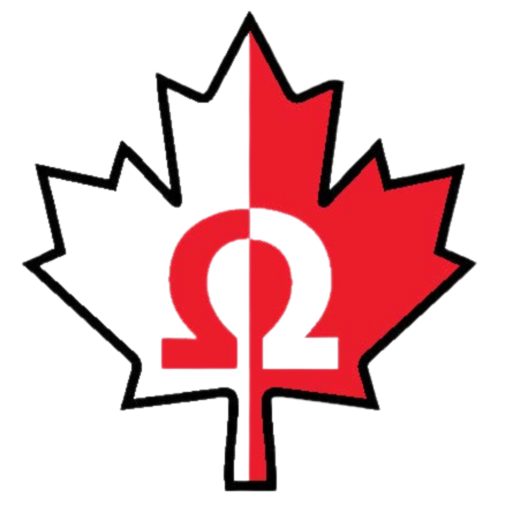 Veteran Electric banner logo